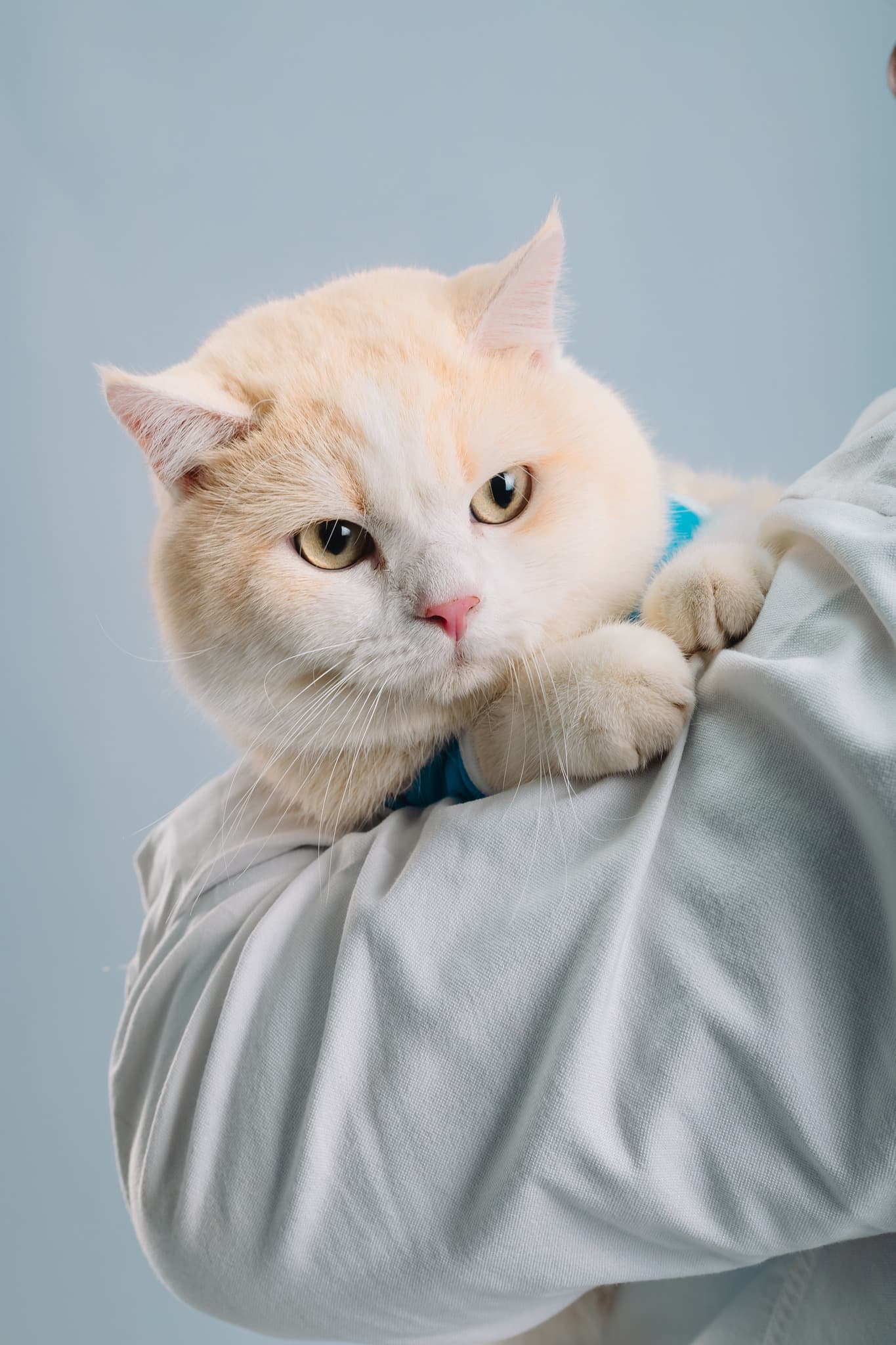 Pre-Wedding - Gallery Image 4